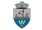 logo-comuna-ghioroc