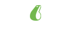 logo-rankingcoach